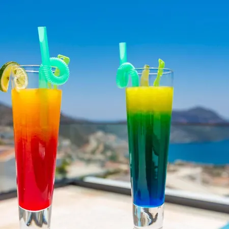 Phi With Heated Indoor Pool Villa *